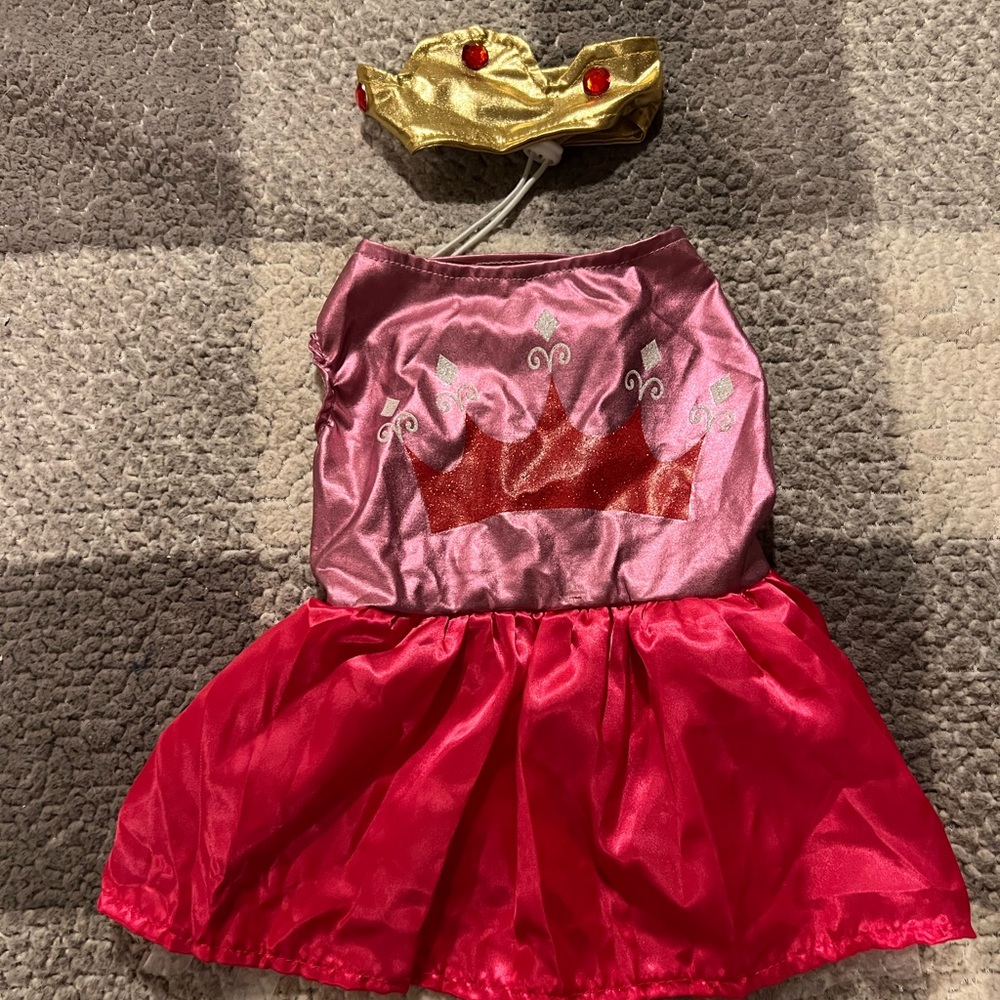 Little Dog (Size Large) Princess Costume